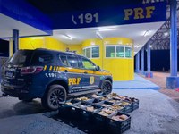 Imagem da droga apreendida na BR - 364